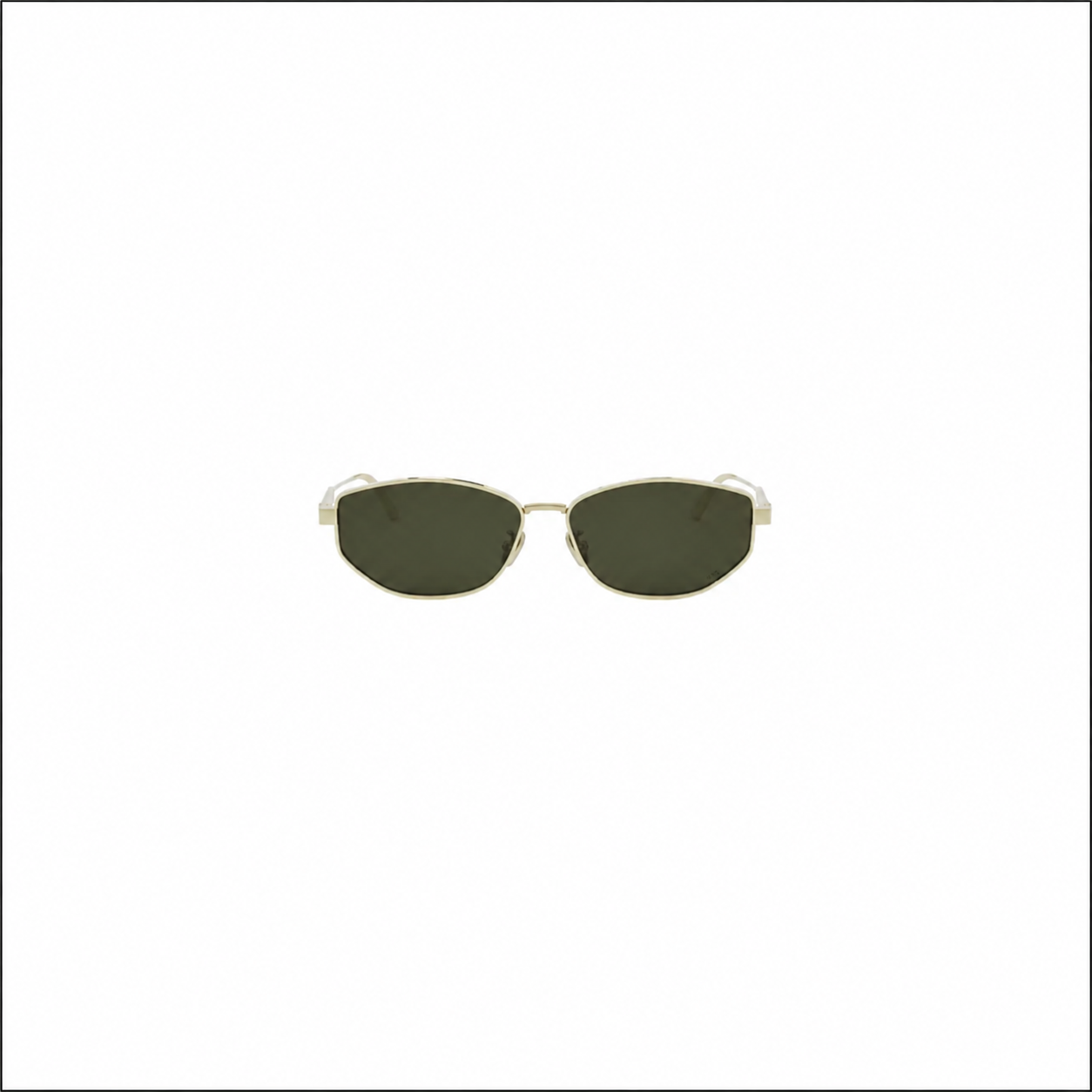 DIORCANNAGE Sunglasses B1U B0C0