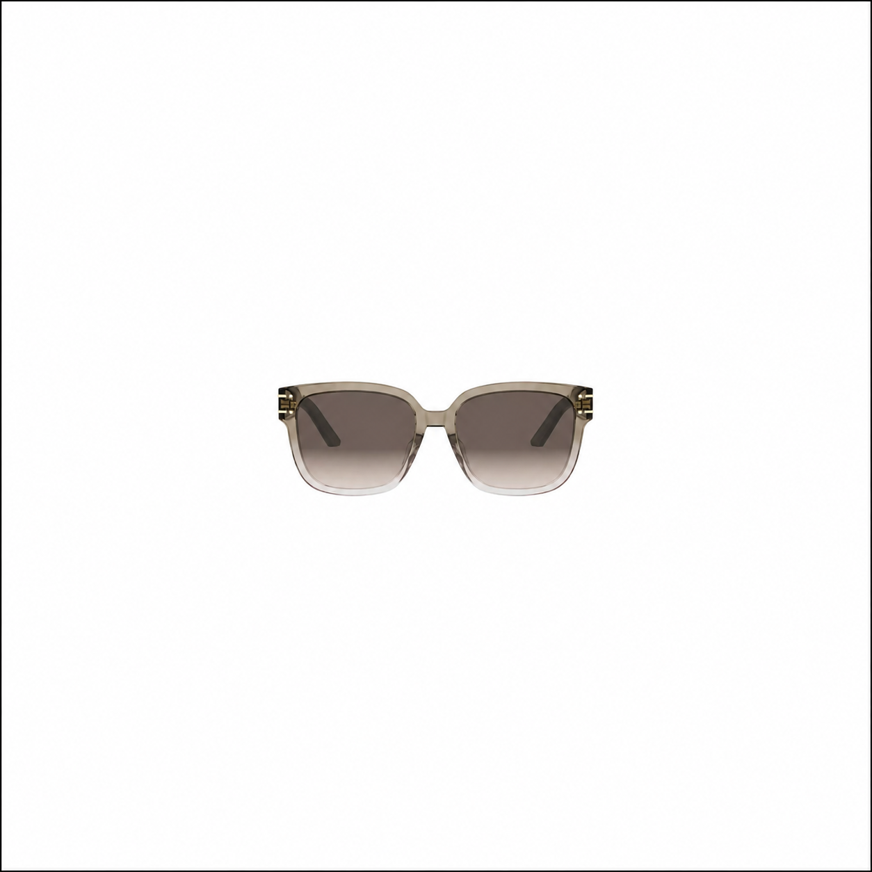 DIORSIGNATURE Sunglasses S7F