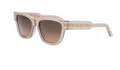 DIORSIGNATURE Sunglasses S6U 40F1