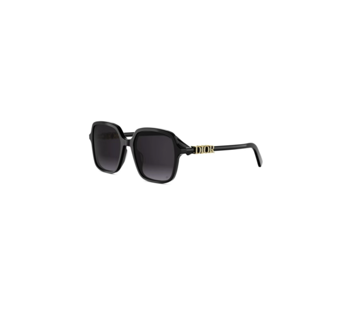 DIORTREASURE SUNGLASSES S1I 10A1