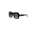 CELINE TRIOMPHE  Sunglasses  CL40331U