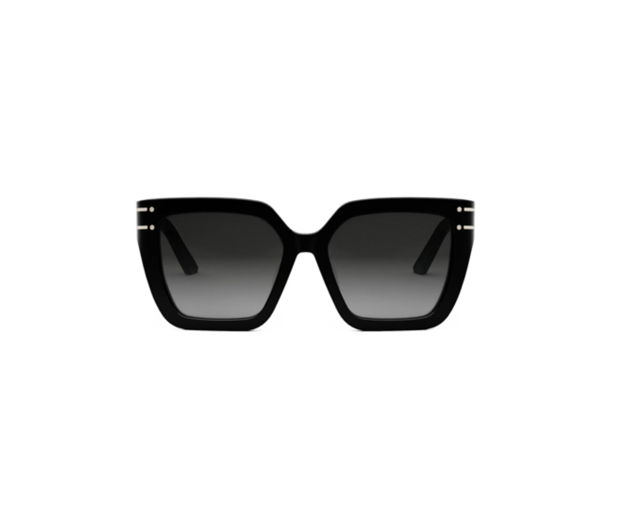 DIORSIGNATURE S10F 10A1