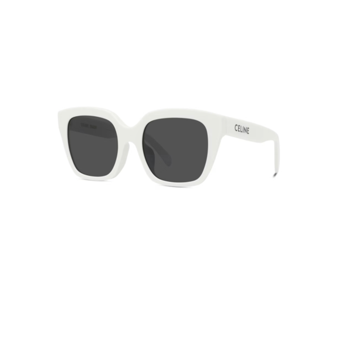 Celine Monochroms CL40198F 25A