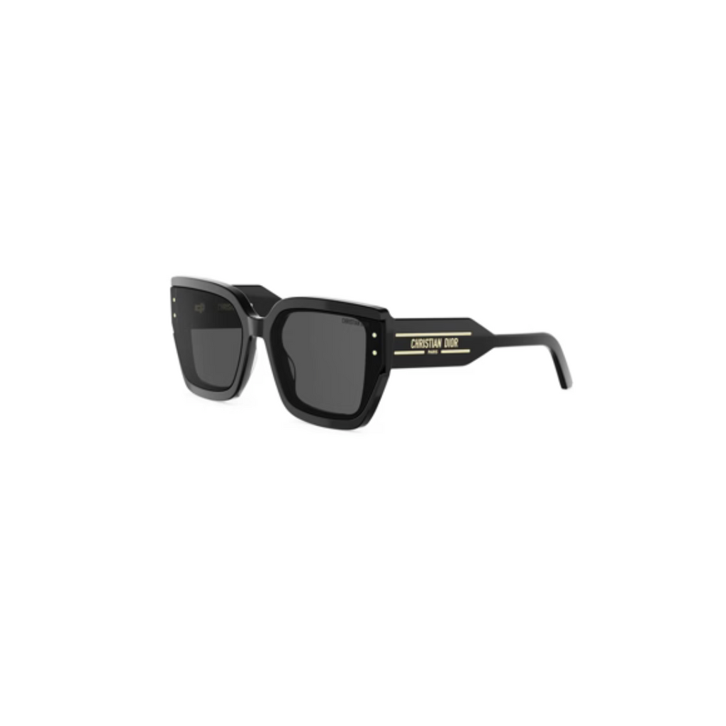 DiorSignature Sunglasses S14I