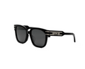 DIORSIGNATURE Sunglasses S7F