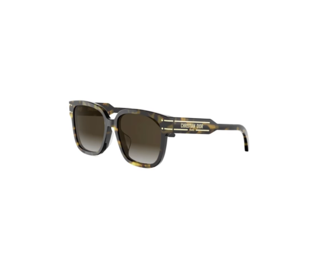 DIORSIGNATURE Sunglasses S7F