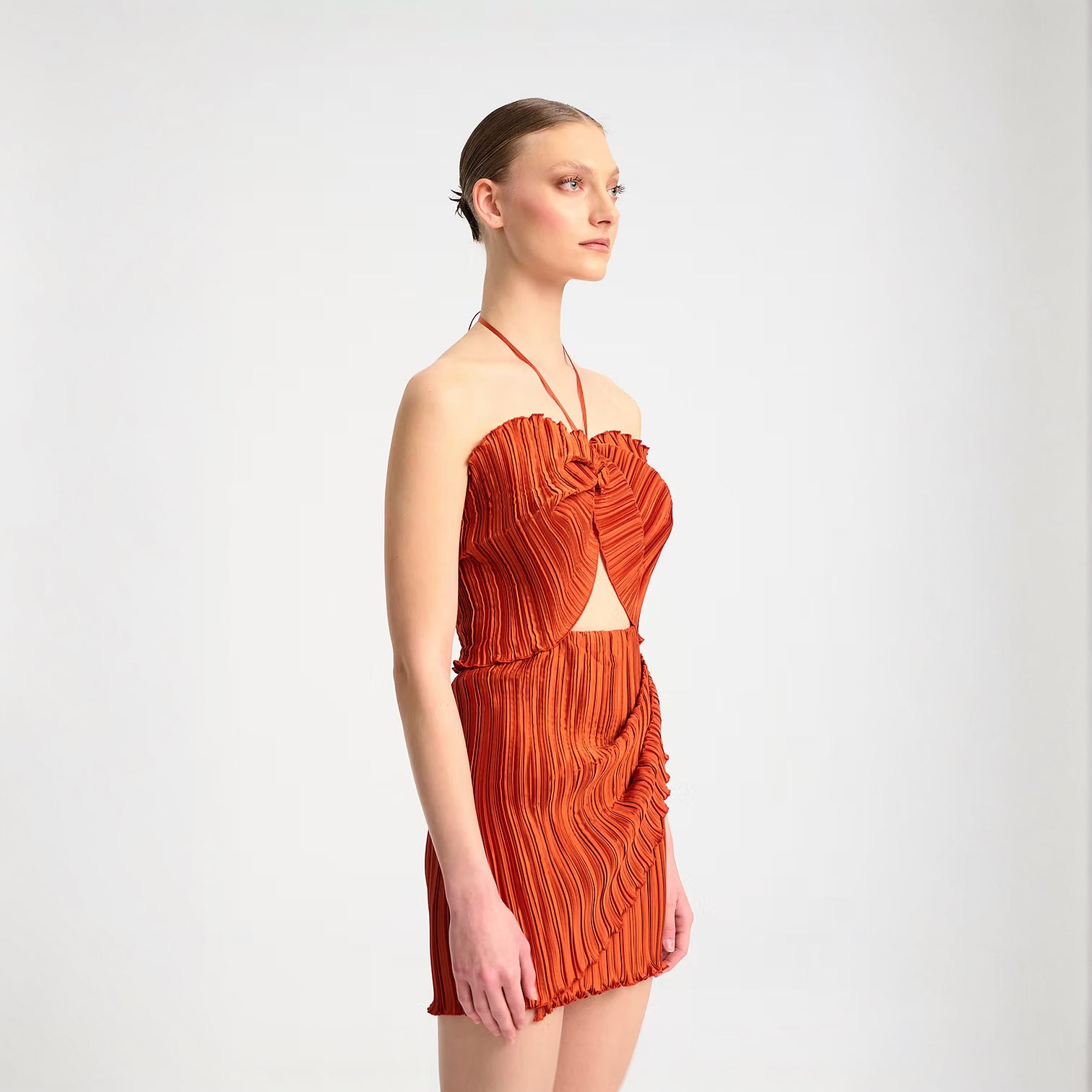Salvia Dress