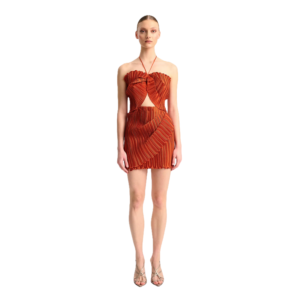 Salvia Dress