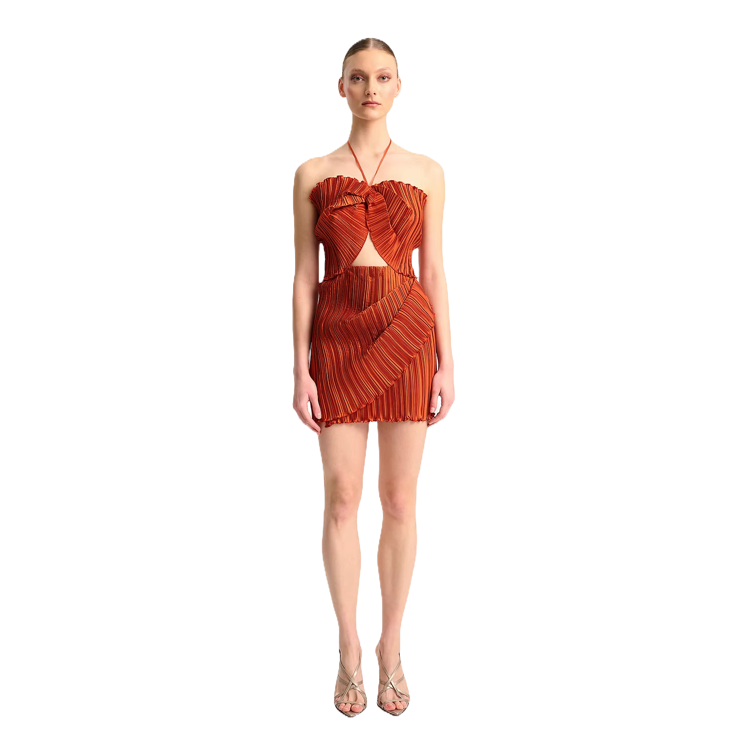Salvia Dress
