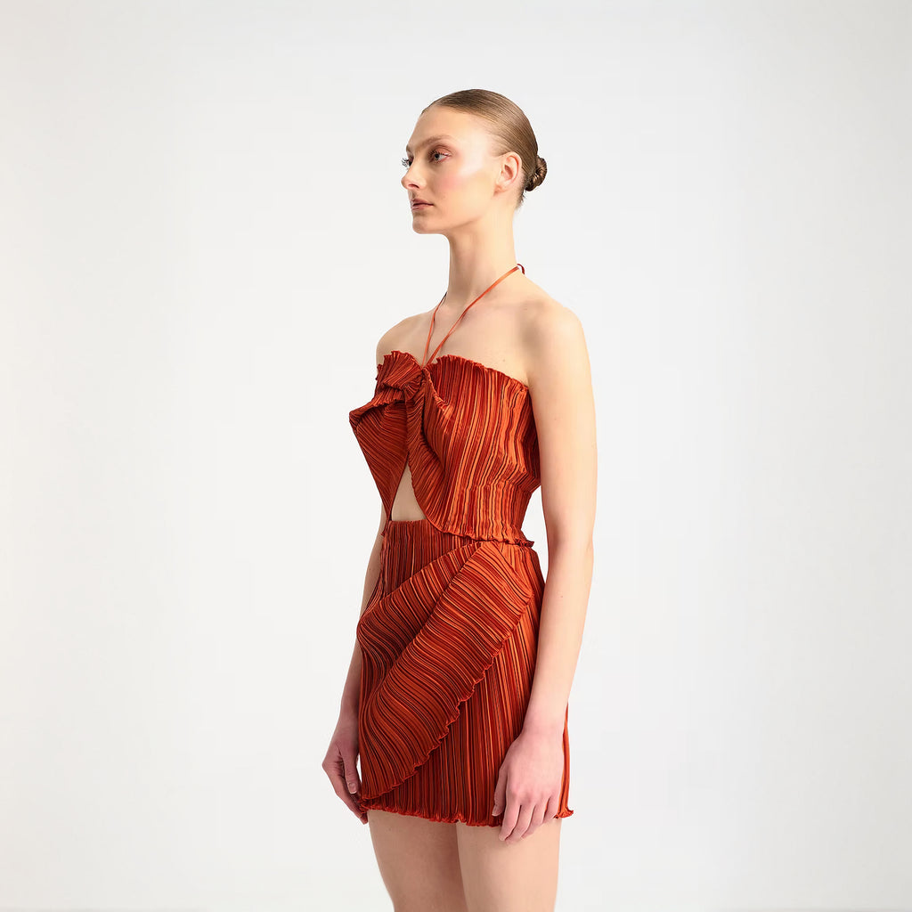 Salvia Dress