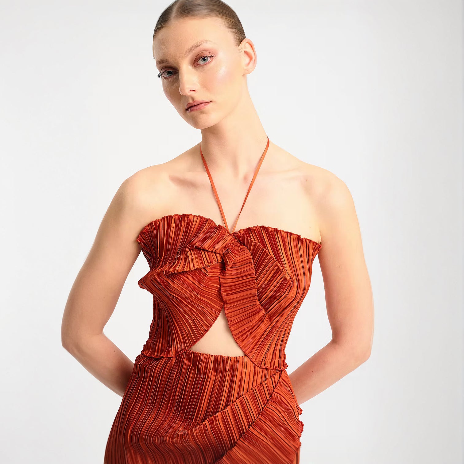 Salvia Dress