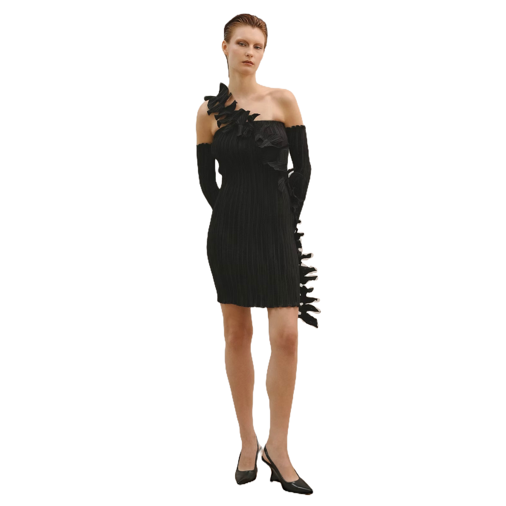 Aesthetic Dress