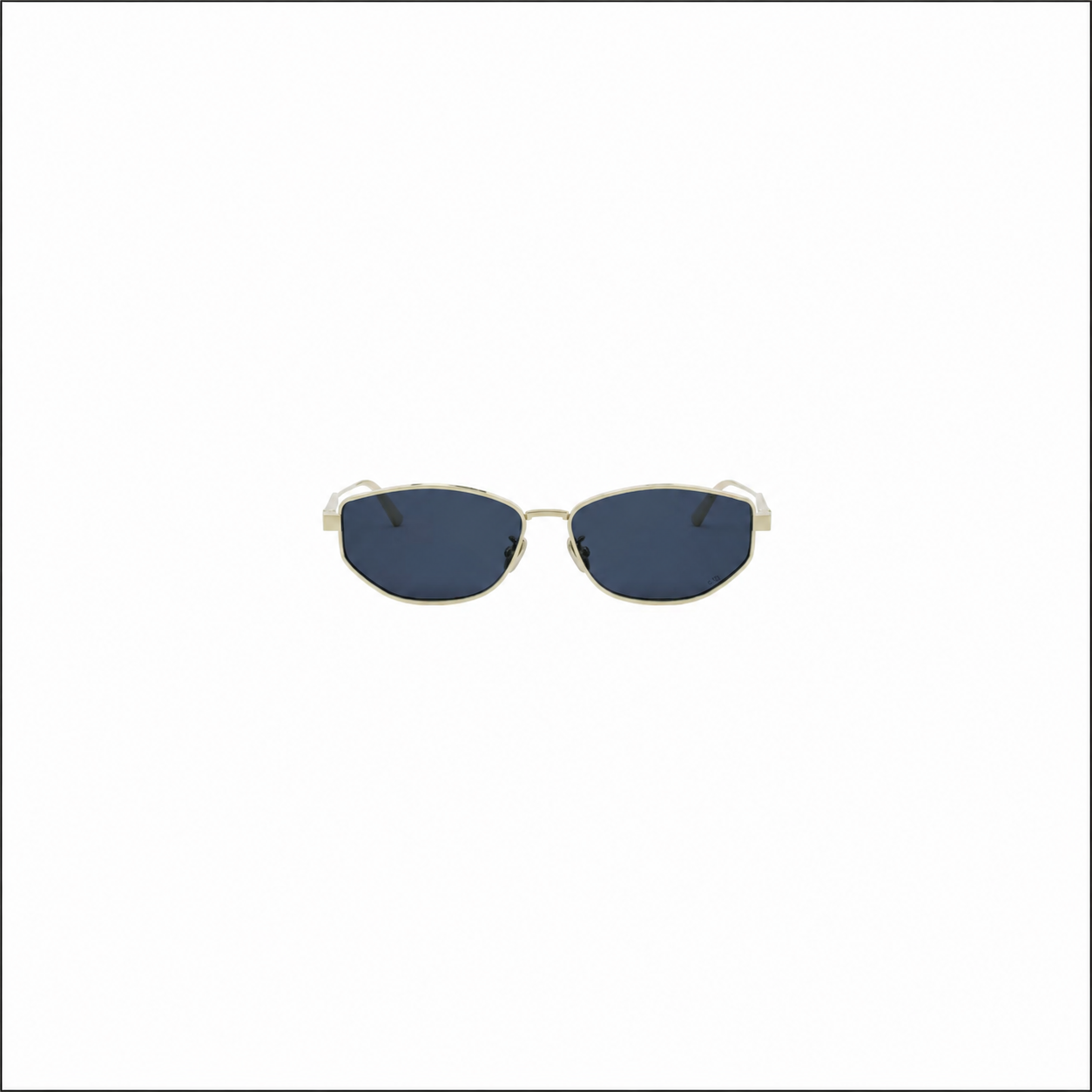 DIORCANNAGE Sunglasses B1U B0B0
