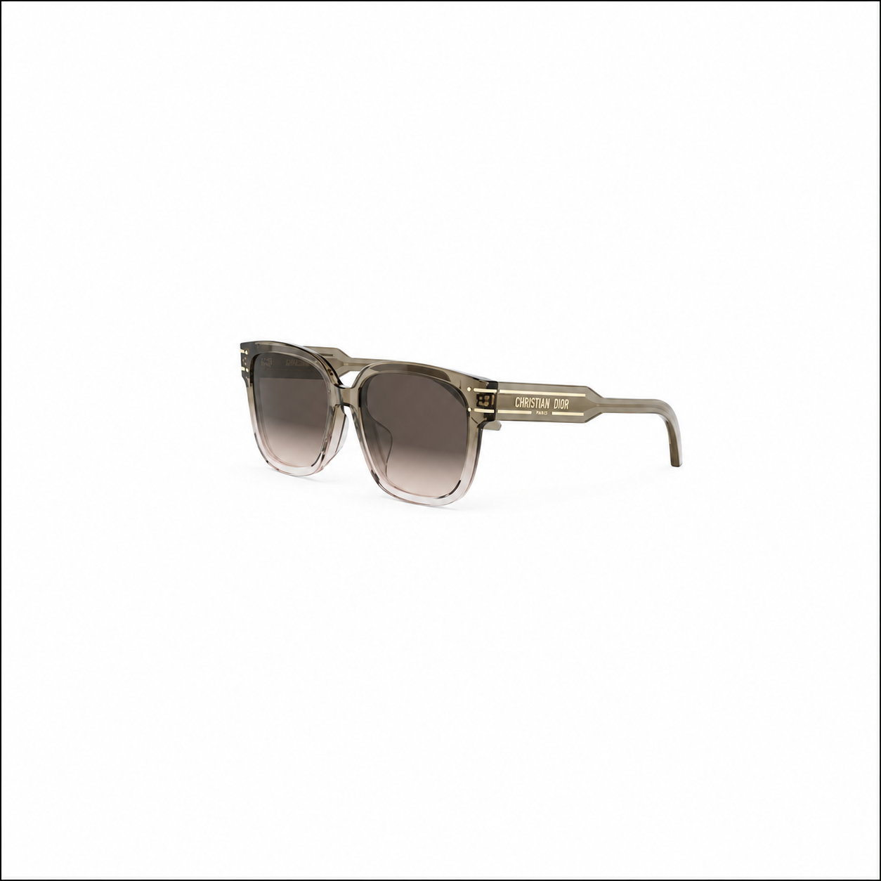 DIORSIGNATURE Sunglasses S7F